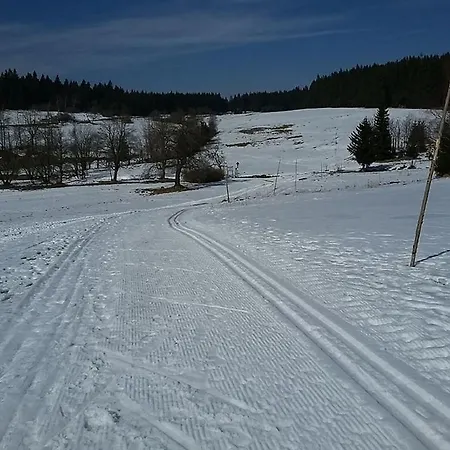 Pensionat Horska Chata Nejdecka *